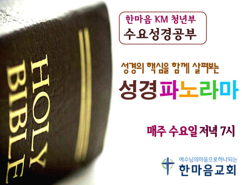 H성경의 파노라마 (포스터 및 겉장).jpg