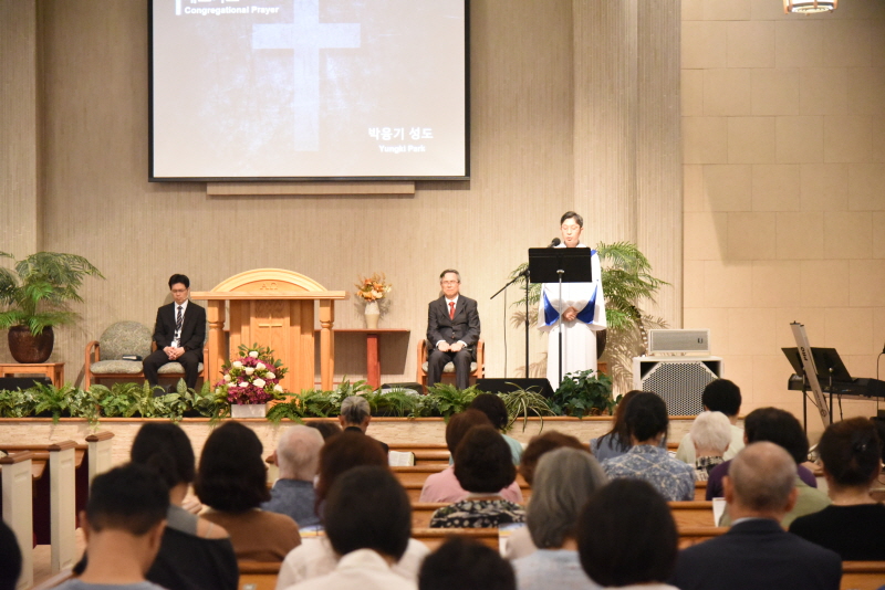 HDSC_0389.JPG