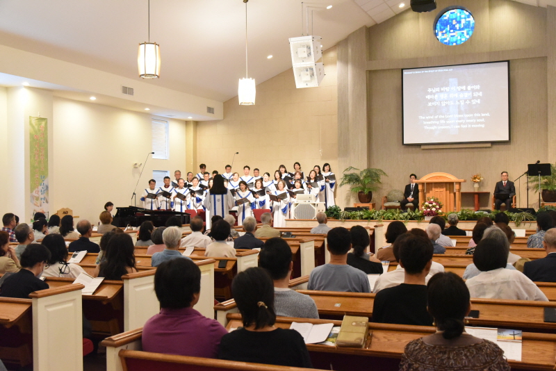 HDSC_0391.JPG