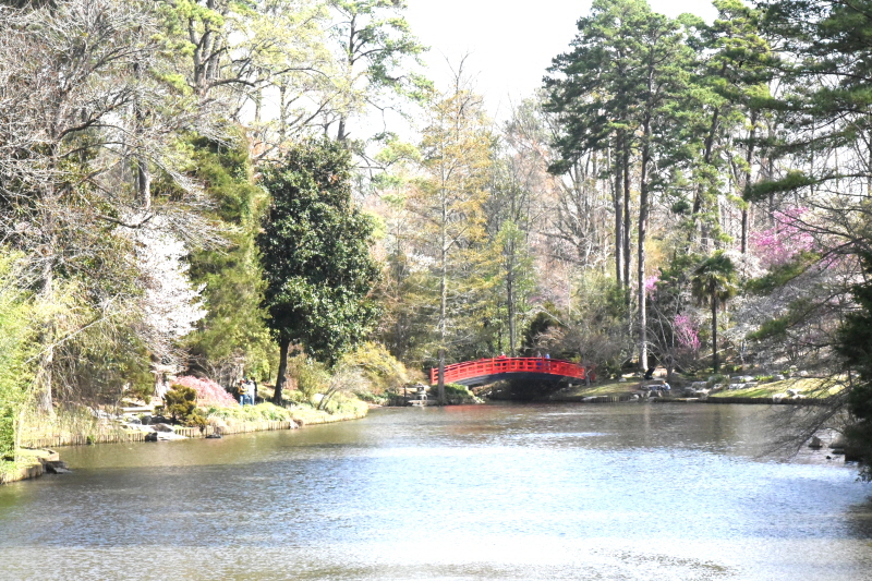 HDSC_4695.jpg