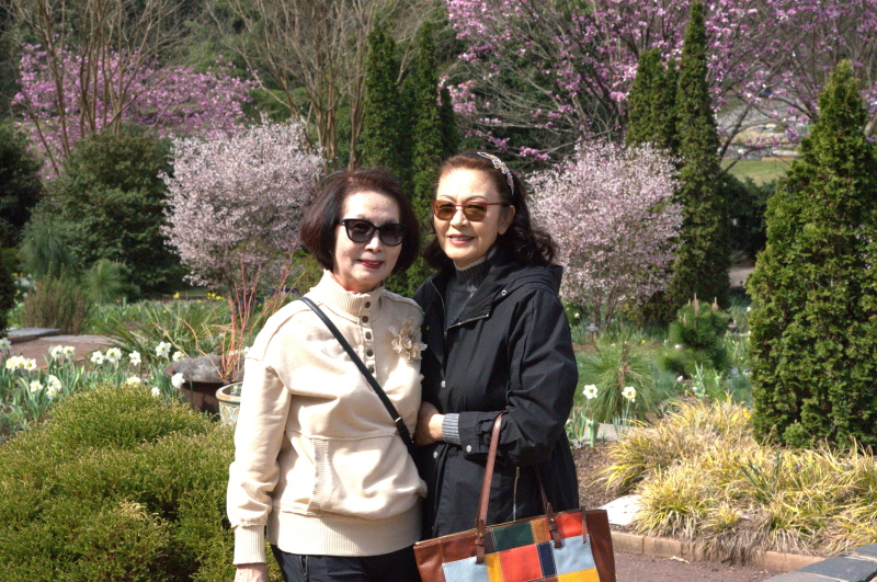 HDSC_4732.jpg