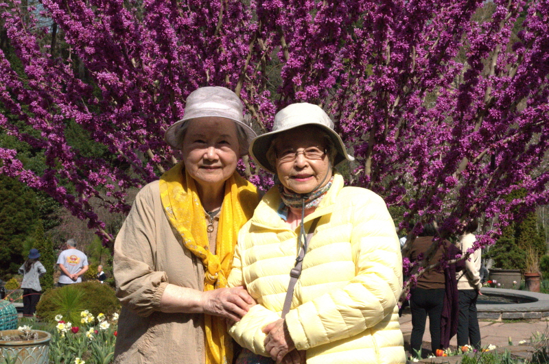 HDSC_4711.jpg